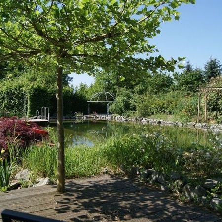 Galerie - Hans Christoph BEBBA Garten- und Landschaftsbau