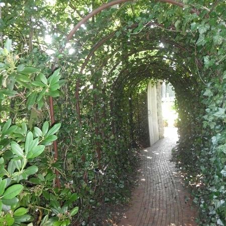 Galerie - Hans Christoph BEBBA Garten- und Landschaftsbau